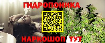 mdpv Лесосибирск