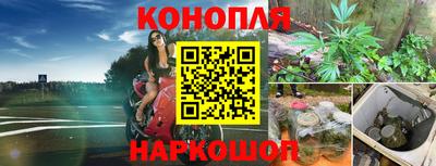mdpv Лесосибирск