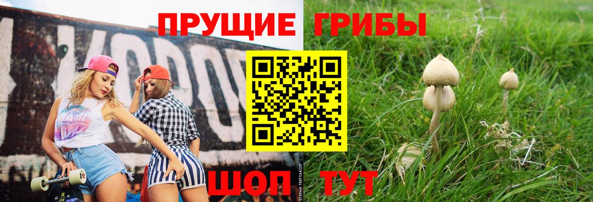 Жуковский  Псилоцибиновые грибы прущие грибы  Вход с VPN 